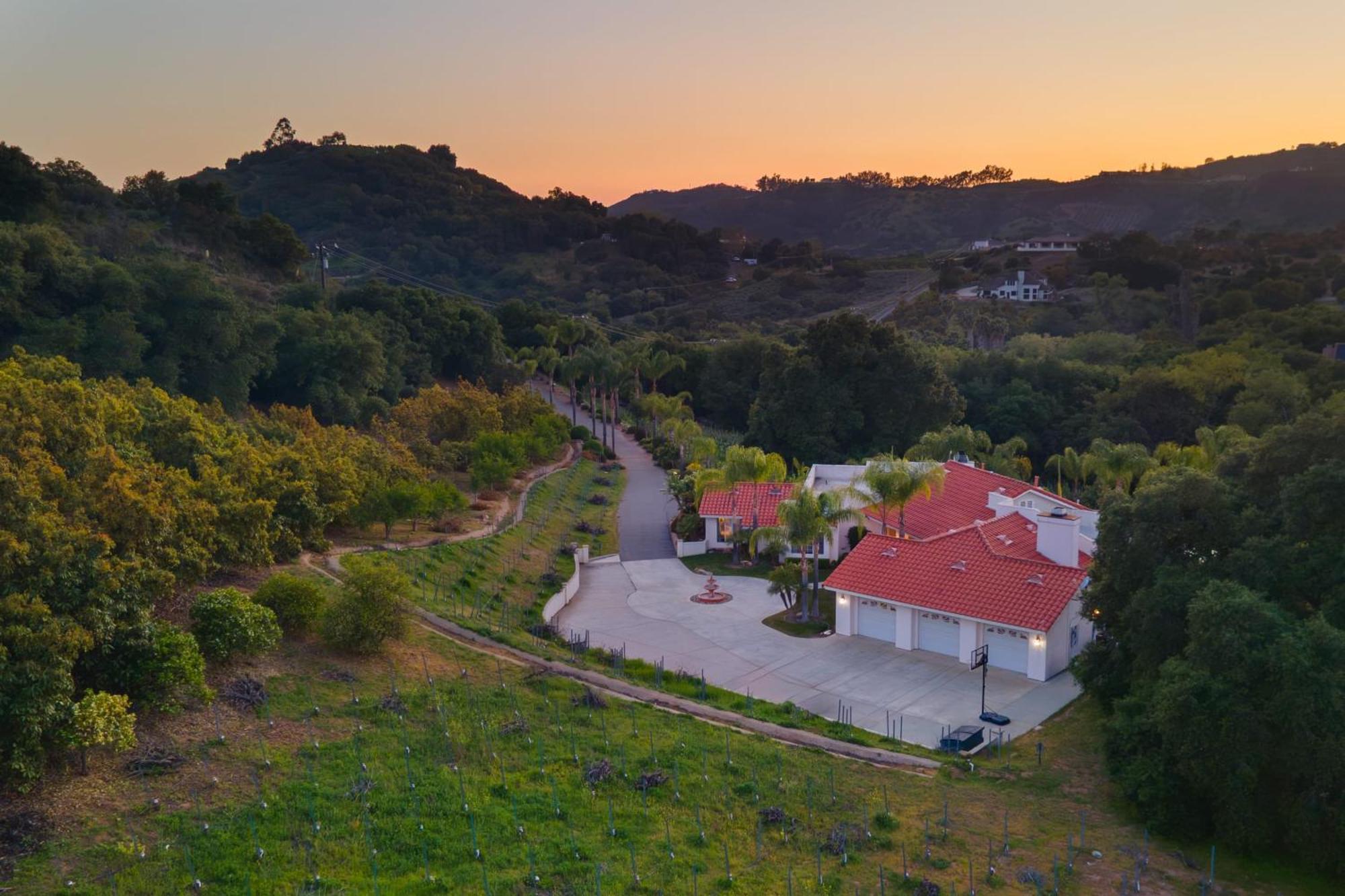 Grapevine By Avantstay Secluded 5Br Villa 4 Acres Of Vineyards Avo Groves Temecula Extérieur photo